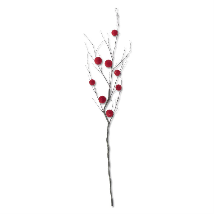 RED BALL BRANCH