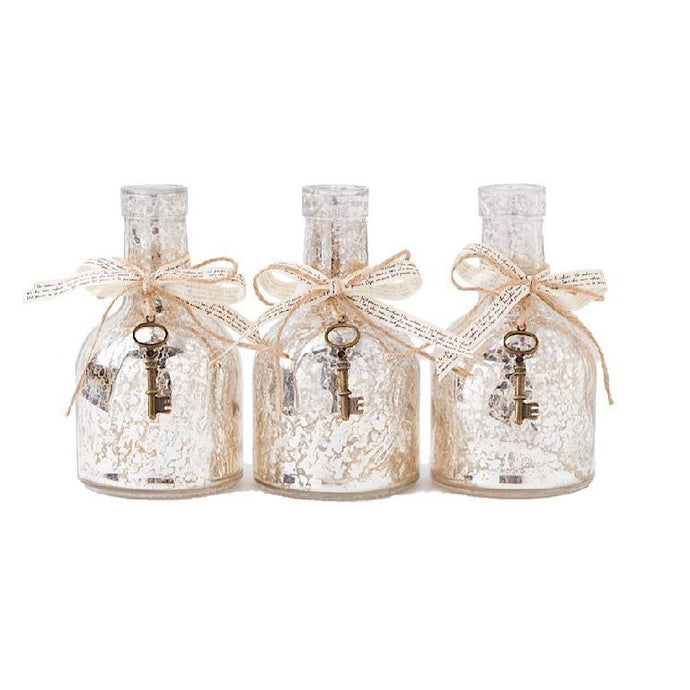 MERCURY GLASS BOTTLE W/RIBBON & KEY ACCENT