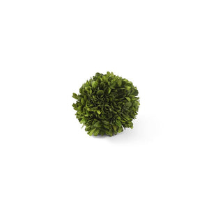 PRESERVED BOXWOOD MINI BALL