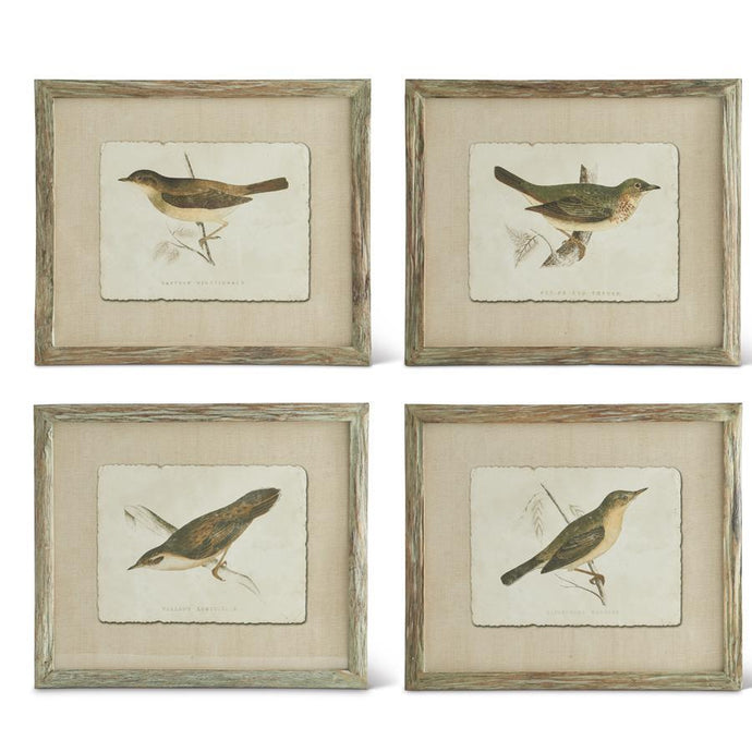 PATINA BOIS WOOD FRAMED BIRD PRINTS