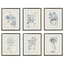 Load image into Gallery viewer, 23.75 Inch Black &amp; Gold Framed Blue Arbor Prints (6 Styles)