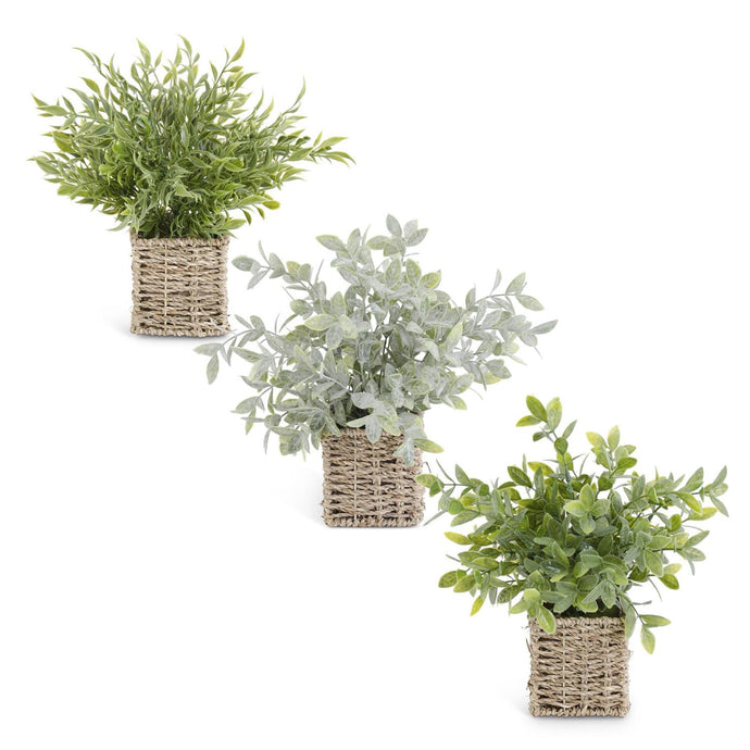 HERBS IN SQUARE WOVEN BASKETS