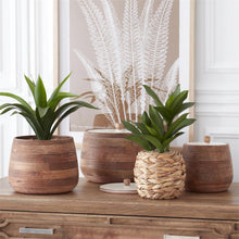 Load image into Gallery viewer, RIBBED MANGO WOOD CANISTERS W/WHITE LID