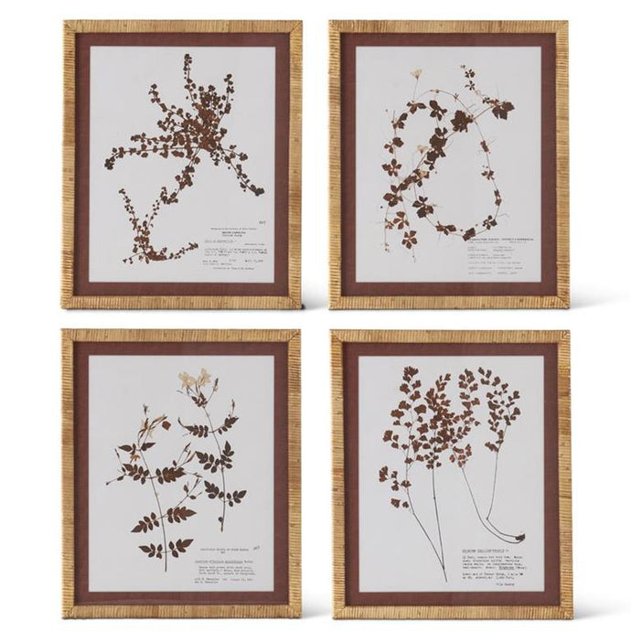 BROWN & WHITE FERN PRINT W/RATTAN WRAPPED FRAME