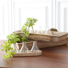 Load image into Gallery viewer, BUD VASES ON WOOD TRAY