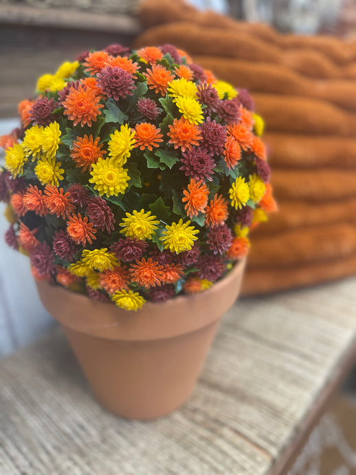 Mum Topiary Ball,Burgundy- Orange- Yellow, 12