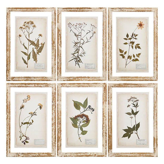 PRESSED FLOWER FRAMED PRINT