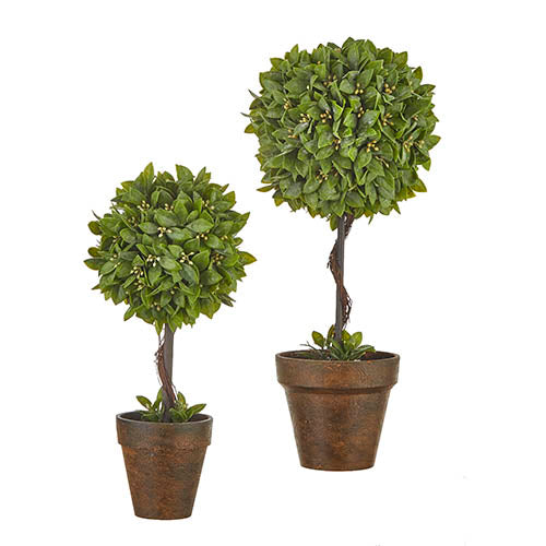 POTTED BOXWOOD TOPIARY