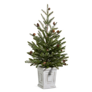 PINE TREE IN WHITE CONTAINER|26"