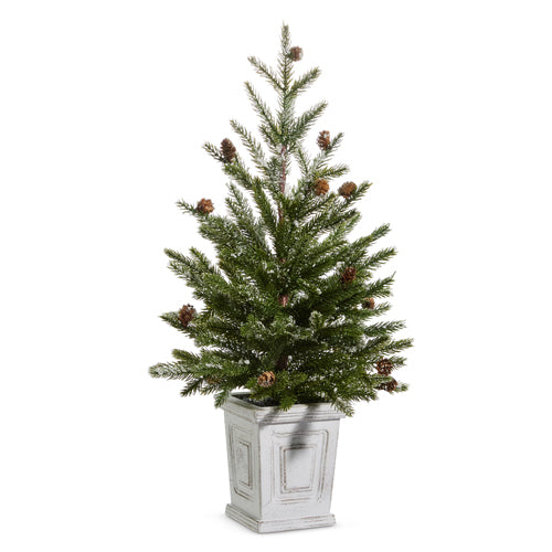 PINE TREE IN WHITE CONTAINER|26