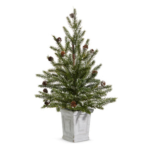 PINE TREE IN WHITE CONTAINER|22"