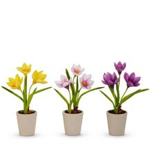 Load image into Gallery viewer, 9.5" Real Touch Potted Crocus Bulb, 3 COLOR OPTIONS