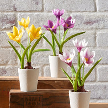 Load image into Gallery viewer, 9.5" Real Touch Potted Crocus Bulb, 3 COLOR OPTIONS