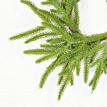 Load image into Gallery viewer, 18in(6.5)Wreath-Soft Touch Evergreen Norfolk Pine