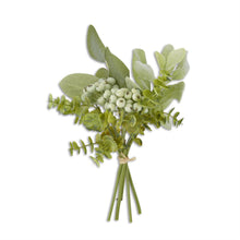 Load image into Gallery viewer, 13 Inch Mixed Green Foliage w/Berries Bundle (6 Stems)
