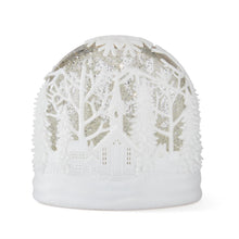 Load image into Gallery viewer, White Cutout Acrylic LED Oval Water Spinning Snow Globe
