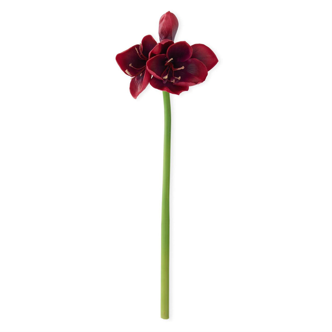 28 Inch Real Touch Burgundy Amaryllis Stem