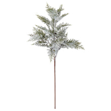 Load image into Gallery viewer, 36 Inch Glittered &amp; Snowy Branch w/Mini Pinecones