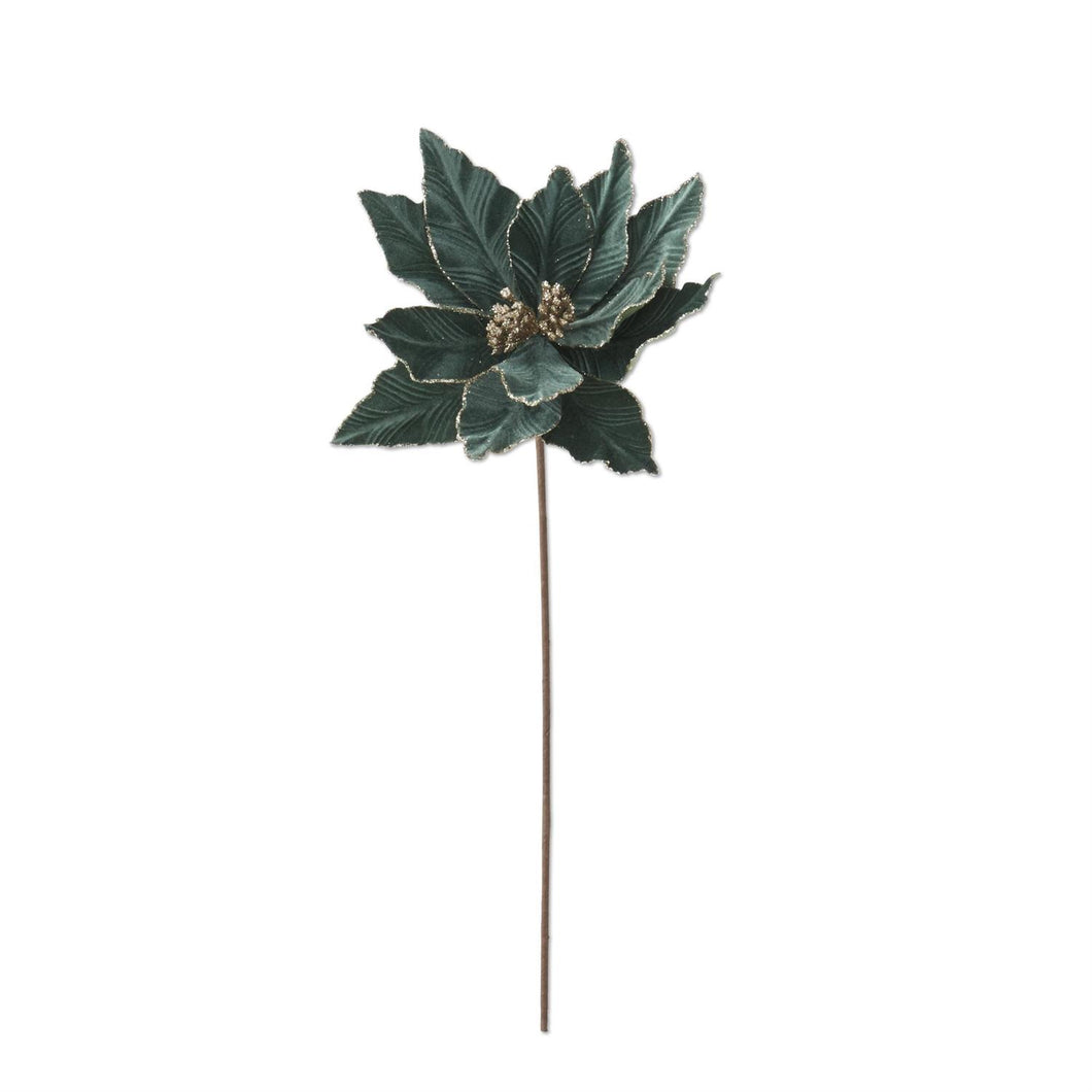 20 Inch Dusty Green Poinsettia Stem