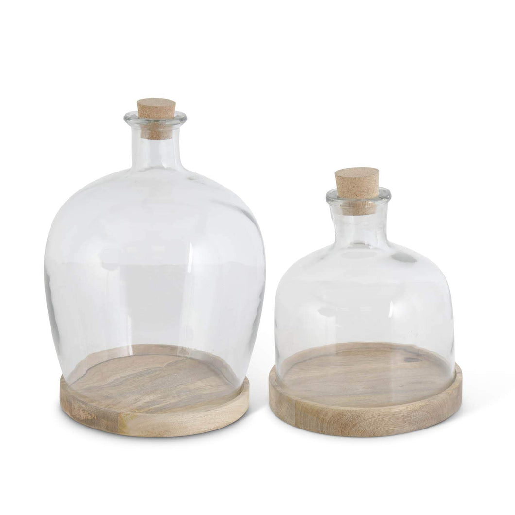 Glass Bottle Cloches on Wooden Base