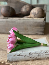 Load image into Gallery viewer, Poppet Tulip Bundle | 8.5" | Pink