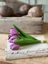 Load image into Gallery viewer, Poppet Tulip Bundle | 8.5" | Purple |