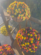 Load image into Gallery viewer, Mum Hanging Basket or Pop Drop In, 14&quot;, UV  protected