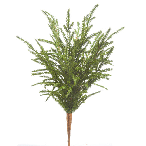 SOFT TOUCH NORFOLK PINE PICK