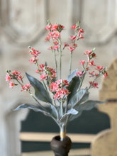 Load image into Gallery viewer, Starlet Flower Bundle | 15" | Vermillion