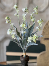 Load image into Gallery viewer, Starlet Flower Bundle | 15" | Cream