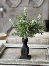 Load image into Gallery viewer, Cloister Berry Bush | 14"