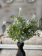 Load image into Gallery viewer, Cloister Berry Bush | 14"
