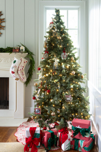 TOILED TREE SKIRT