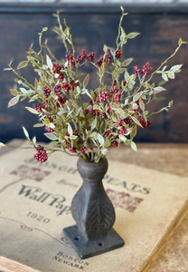 Hasp Berry Bush | 13" | Dark Red