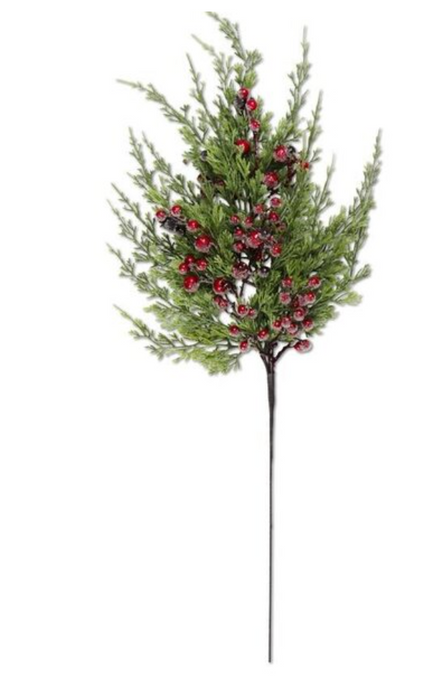 CYPRESS PINE WITH DARK RED ICED BERRY STEM