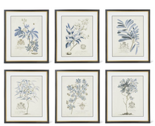 Load image into Gallery viewer, ASSORTED 23.75 INCH BLACK &amp; GOLD FRAMED BLUE ARBOR PRINTS (6 STYLES)