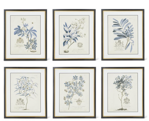 ASSORTED 23.75 INCH BLACK & GOLD FRAMED BLUE ARBOR PRINTS (6 STYLES)