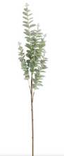 Load image into Gallery viewer, 38 INCH LIGHT GREEN GUNNII EUCALYPTUS STEM