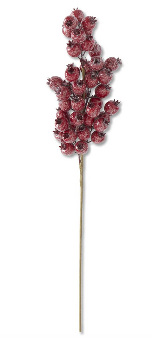 24 INCH GLITTERED RED ROSEHIP STEM