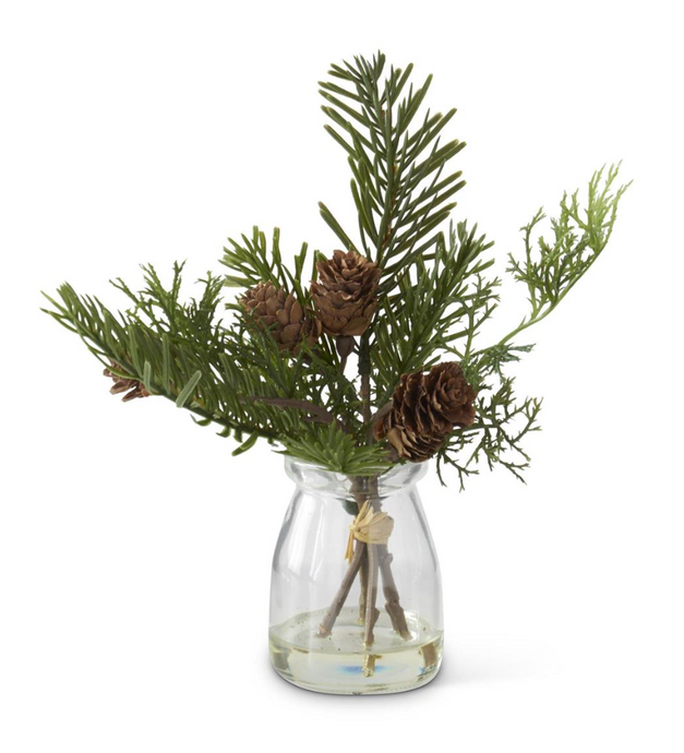 8 INCH PINE SPRIG W/MINI PINECONE IN GLASS VASE