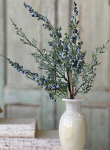 Load image into Gallery viewer, Icy Northwind Juniper Pick | 16&quot;