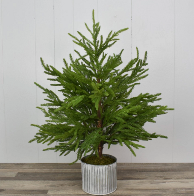 28” Norfolk Pine Tree in Galvanized Whitewash Container