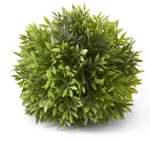 Load image into Gallery viewer, 8 Inch Podocarpus Ball