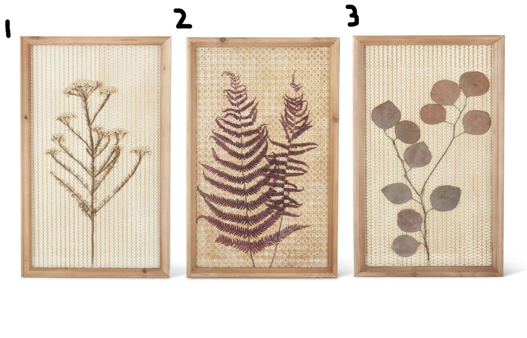 Assorted 23.5 Inch Dried Bud Stem Framed Wall Art (3 Styles)