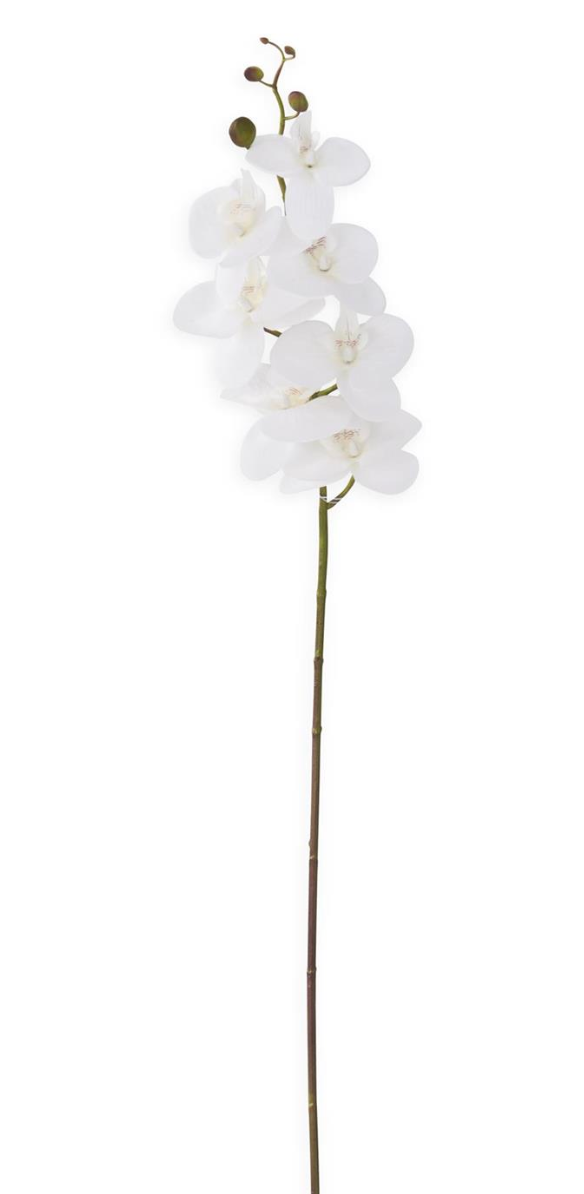 34.5 Inch White Orchid Stem