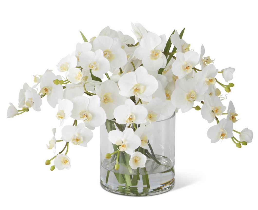 16 Inch White Orchid Premade in Glass Vase w/Faux Water