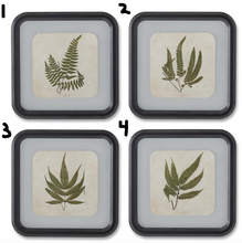 Load image into Gallery viewer, 11.75 Inch Square Black Wood Rounded Framed Fern Prints