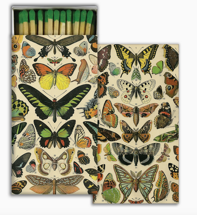 Matches - Butterfly Specimens