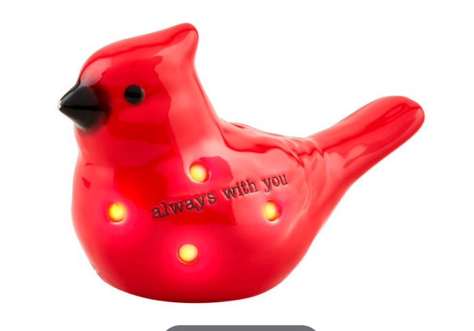 Cardinal Light-Up Sitter