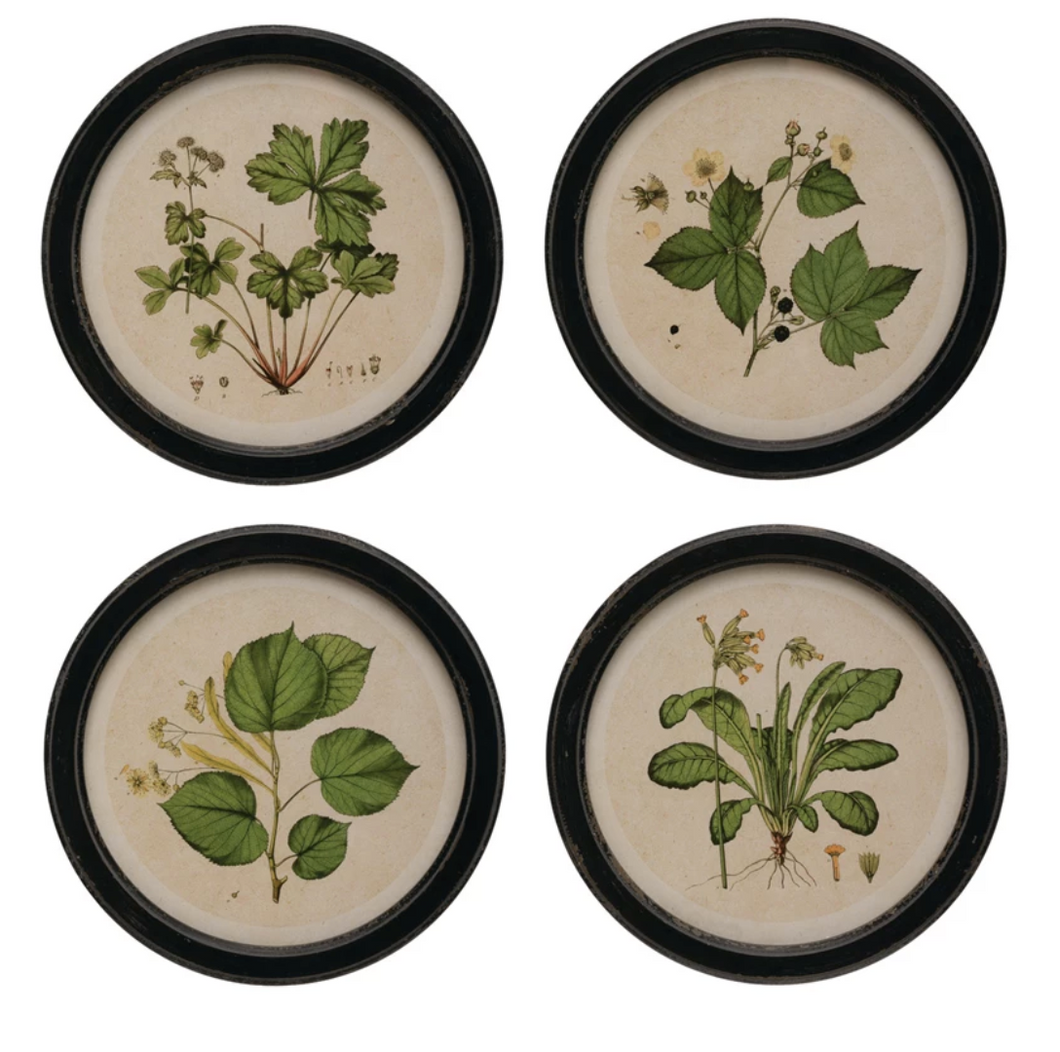 Framed Wall Decor with Botanical Print, 4 Styles